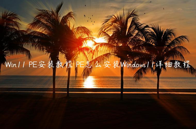 Win11 PE安装教程 PE怎么安装Windows11详细教程