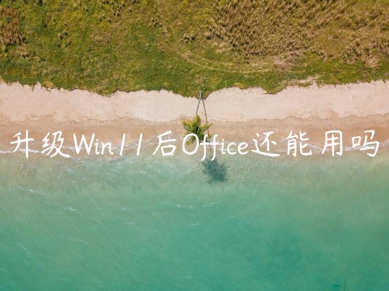 升级Win11后Office还能用吗