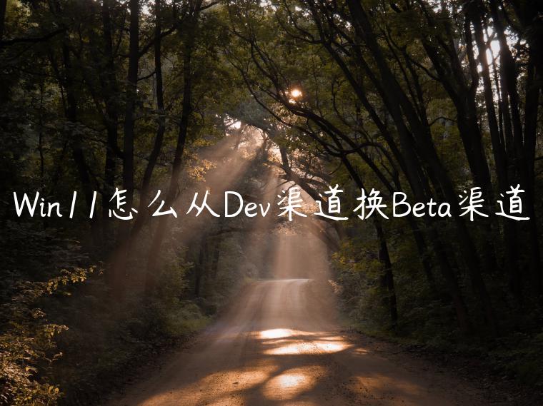 Win11怎么从Dev渠道换Beta渠道