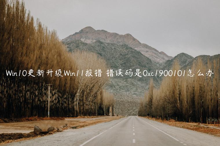 Win10更新升级Win11报错 错误码是0xc1900101怎么办