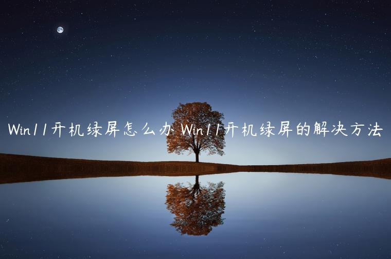 Win11开机绿屏怎么办 Win11开机绿屏的解决方法