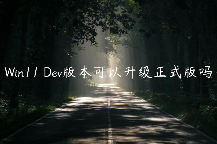 Win11 Dev版本可以升级正式版吗