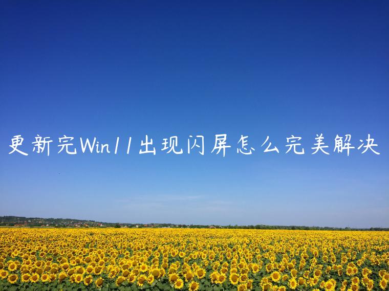 更新完Win11出现闪屏怎么完美解决