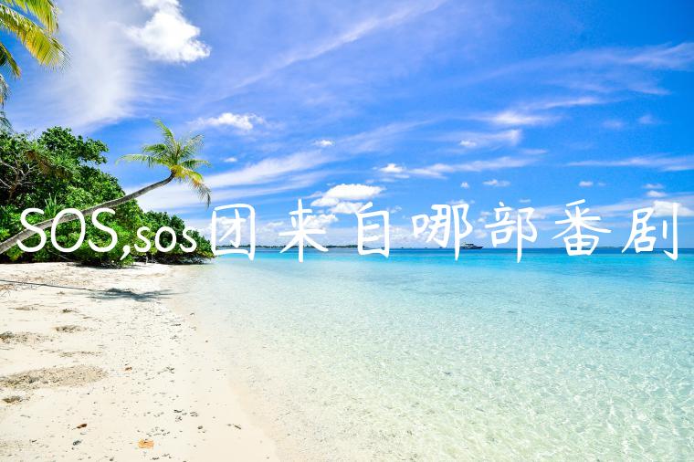 SOS,sos团来自哪部番剧