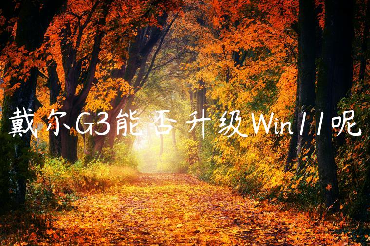 戴尔G3能否升级Win11呢