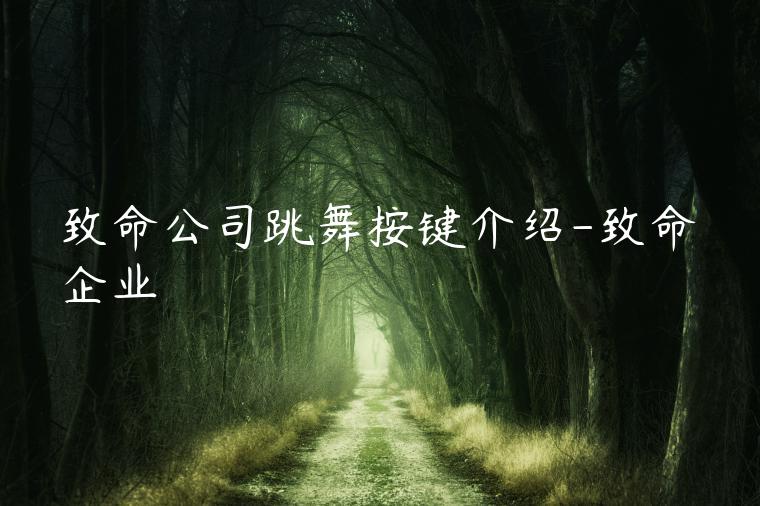 致命公司跳舞按键介绍-致命企业