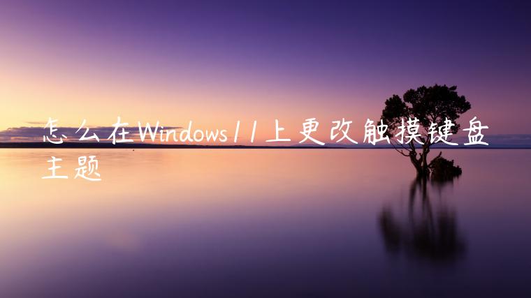 怎么在Windows11上更改触摸键盘主题