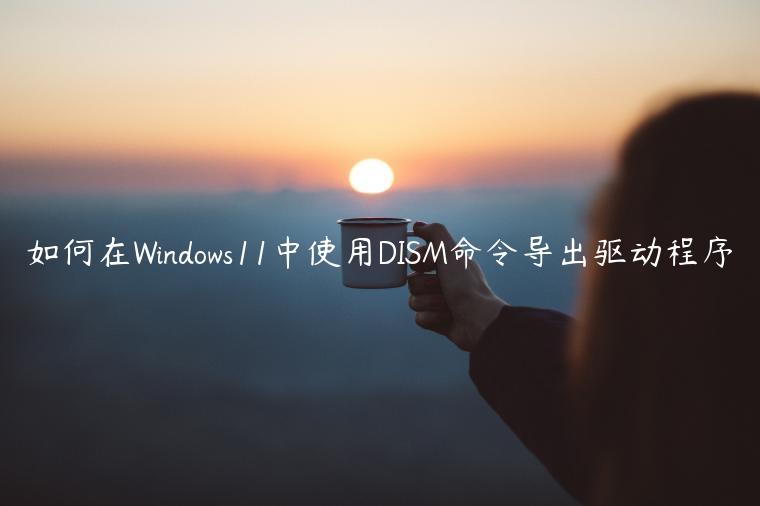 如何在Windows11中使用DISM命令导出驱动程序