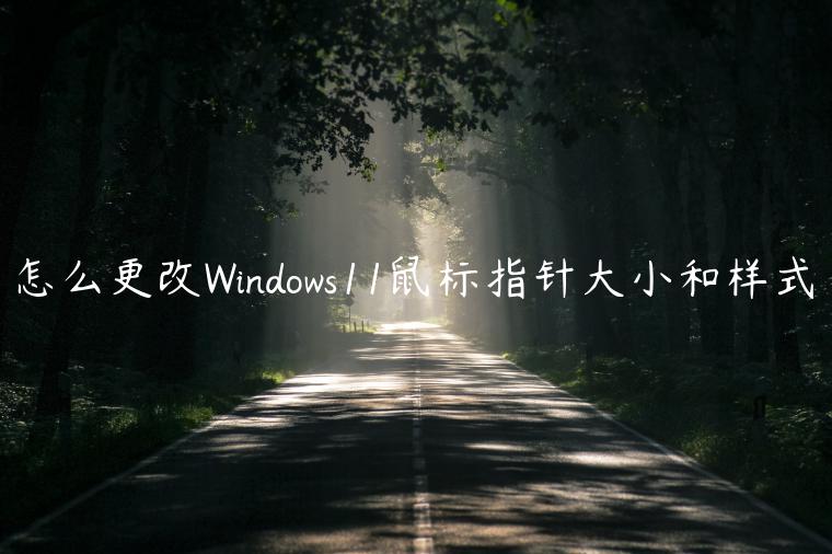 怎么更改Windows11鼠标指针大小和样式