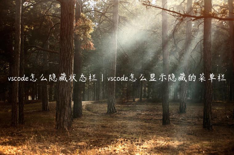 vscode怎么隐藏状态栏|vscode怎么显示隐藏的菜单栏