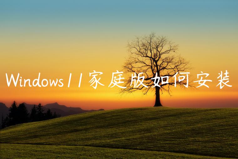 Windows11家庭版如何安装