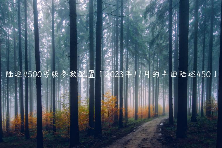 陆巡4500丐版参数配置「2023年11月的丰田陆巡450」