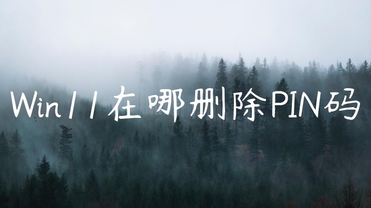 Win11在哪删除PIN码