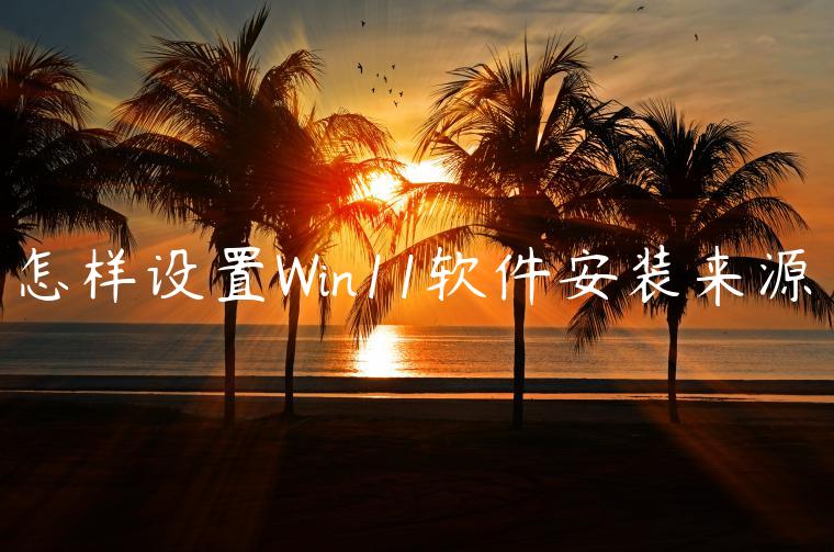 怎样设置Win11软件安装来源