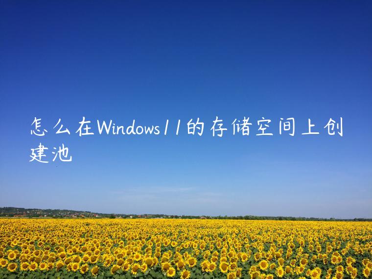 怎么在Windows11的存储空间上创建池