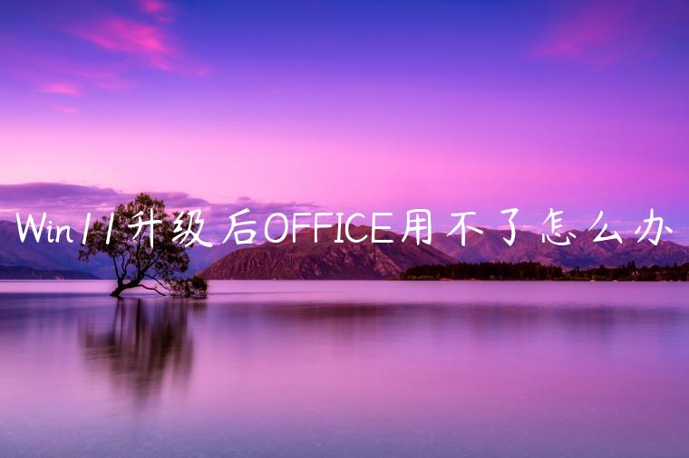 Win11升级后OFFICE用不了怎么办