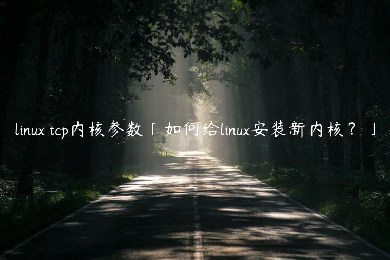 linux tcp内核参数「如何给linux安装新内核？」