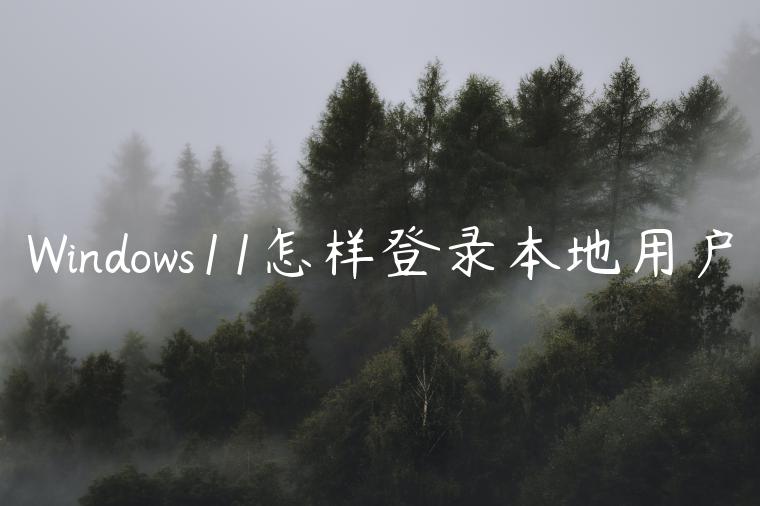 Windows11怎样登录本地用户