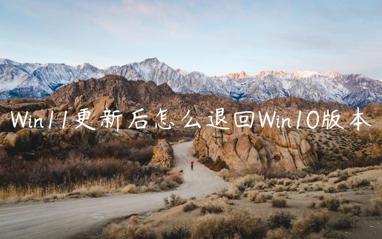 Win11更新后怎么退回Win10版本