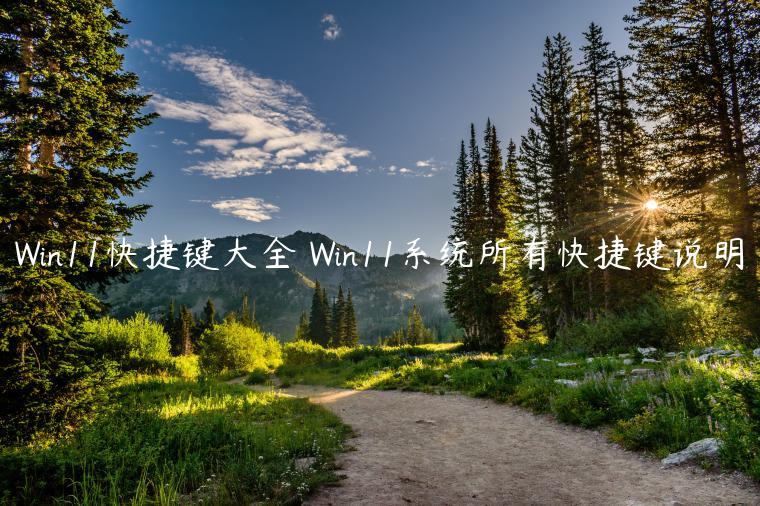 Win11快捷键大全 Win11系统所有快捷键说明