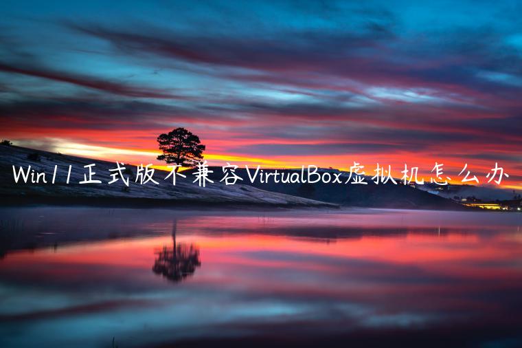 Win11正式版不兼容VirtualBox虚拟机怎么办