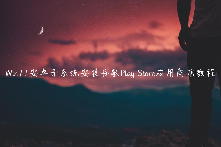 Win11安卓子系统安装谷歌Play Store应用商店教程