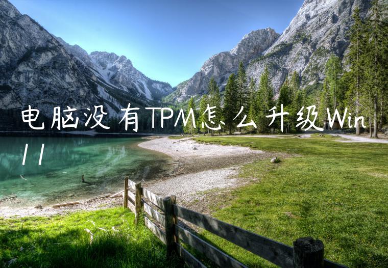 电脑没有TPM怎么升级Win11