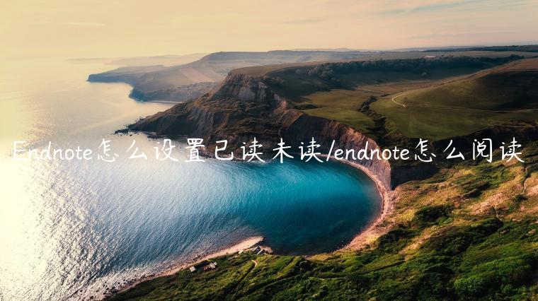 Endnote怎么设置已读未读/endnote怎么阅读