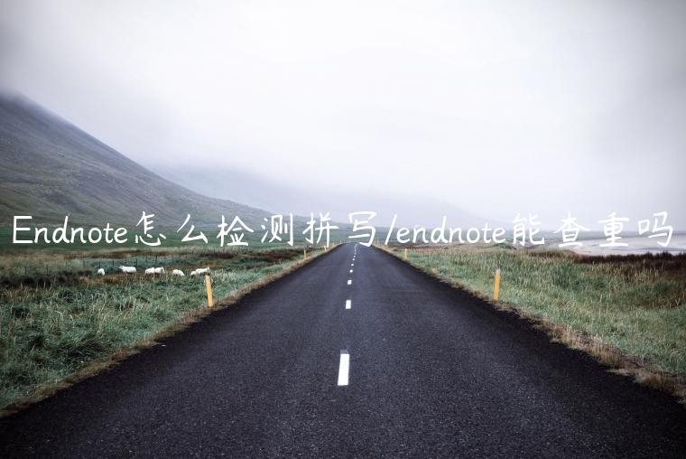 Endnote怎么检测拼写/endnote能查重吗