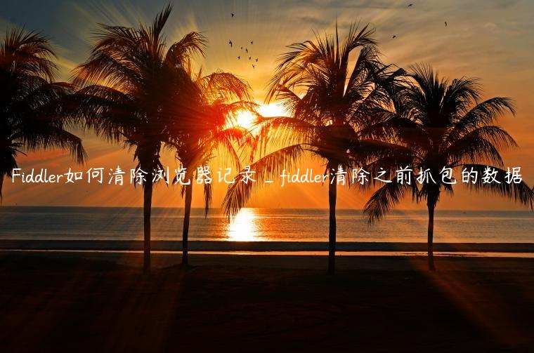 Fiddler如何清除浏览器记录_fiddler清除之前抓包的数据