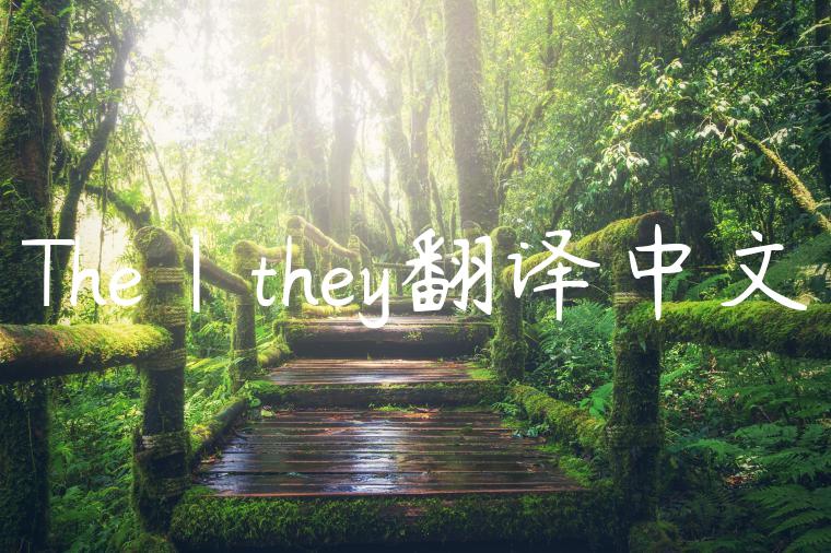 The|they翻译中文