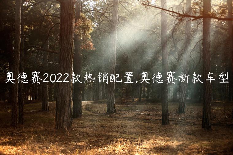 奥德赛2022款热销配置,奥德赛新款车型