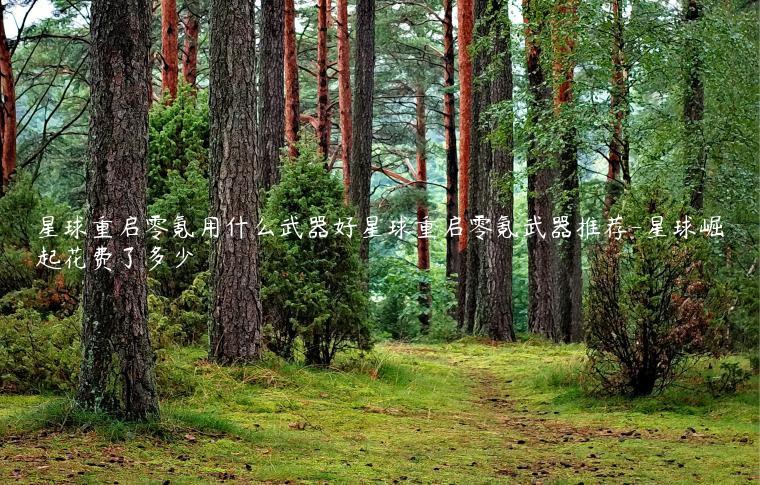 星球重启零氪用什么武器好星球重启零氪武器推荐-星球崛起花费了多少