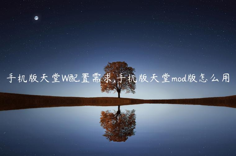 手机版天堂W配置需求,手机版天堂mod版怎么用