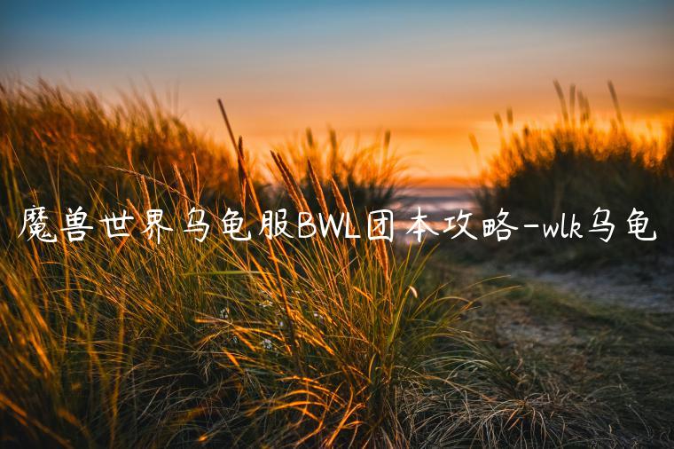 魔兽世界乌龟服BWL团本攻略-wlk乌龟