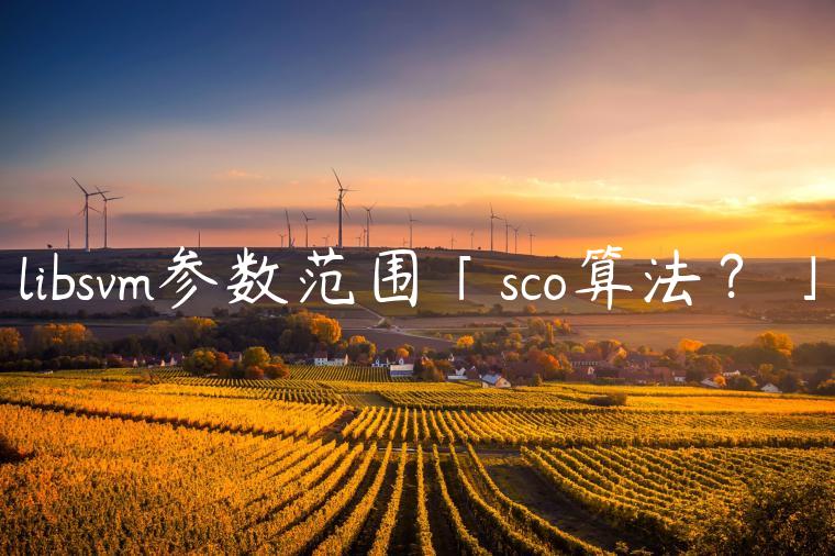 libsvm参数范围「sco算法？」