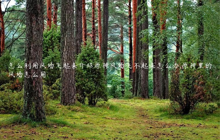 怎么利用风场飞起来介绍原神风场飞不起来怎么办,原神里的风场怎么用