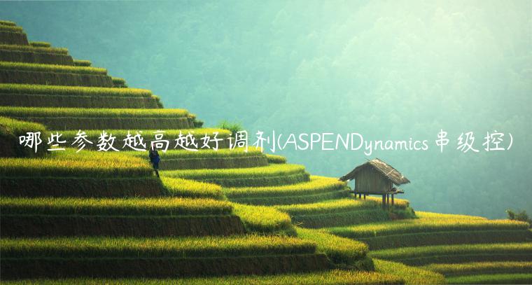 哪些参数越高越好调剂(ASPENDynamics串级控)