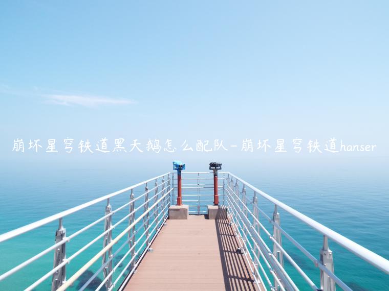 崩坏星穹铁道黑天鹅怎么配队-崩坏星穹铁道hanser