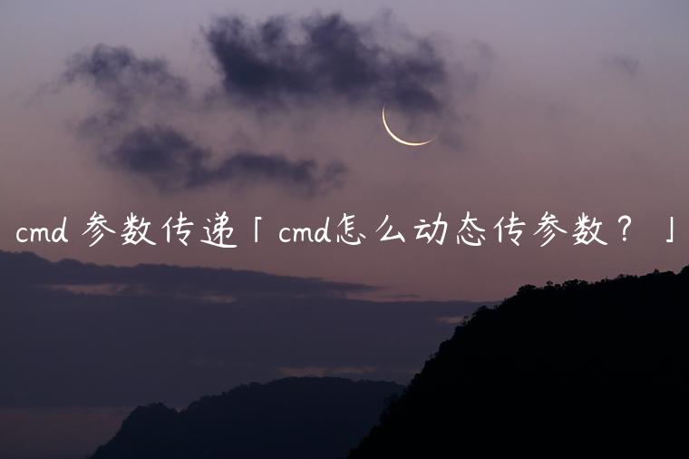 cmd 参数传递「cmd怎么动态传参数？」