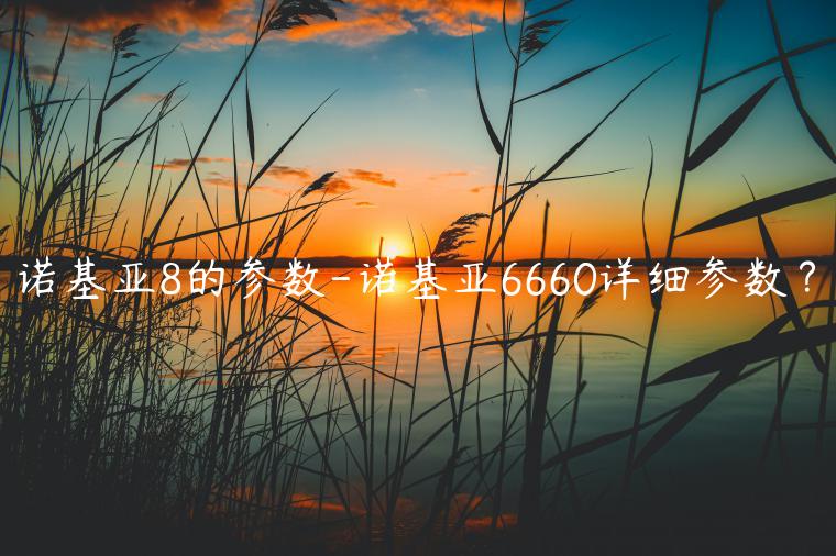 诺基亚8的参数-诺基亚6660详细参数？