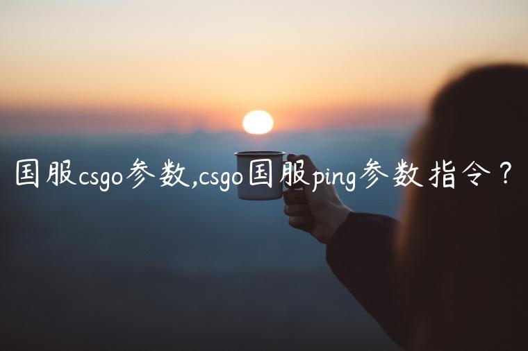 国服csgo参数,csgo国服ping参数指令？