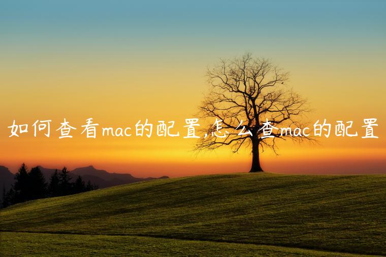 如何查看mac的配置,怎么查mac的配置