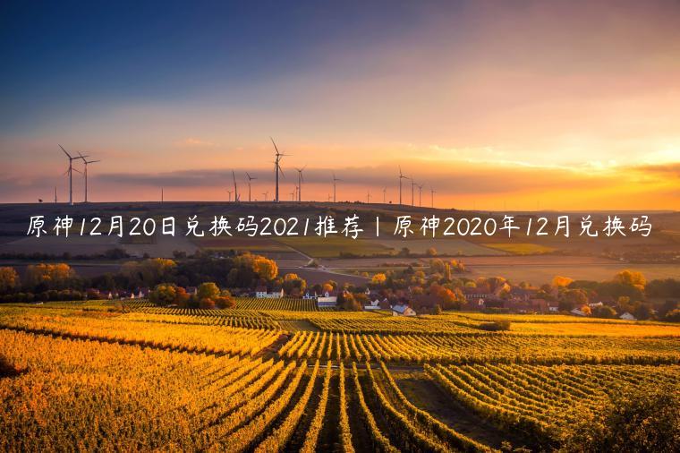 原神12月20日兑换码2021推荐|原神2020年12月兑换码