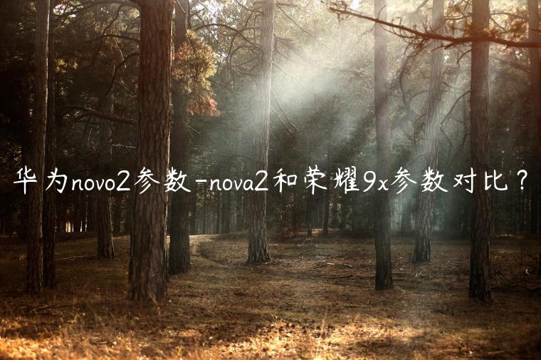 华为novo2参数-nova2和荣耀9x参数对比？