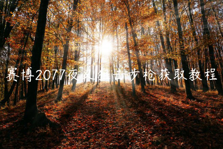 赛博2077夜叉狙击步枪获取教程