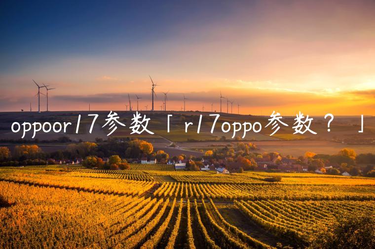 oppoor17参数「r17oppo参数？」