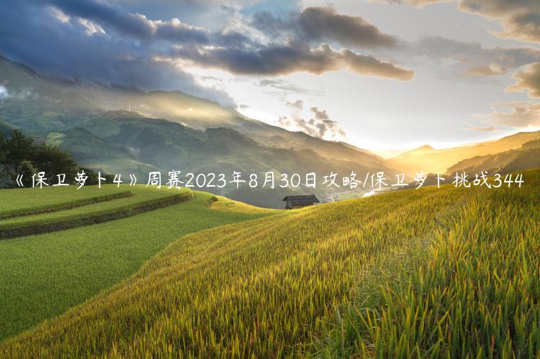 《保卫萝卜4》周赛2023年8月30日攻略/保卫萝卜挑战344