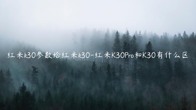 红米k30参数给红米k30-红米K30Pro和K30有什么区