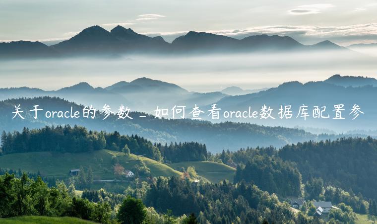 关于oracle的参数_如何查看oracle数据库配置参